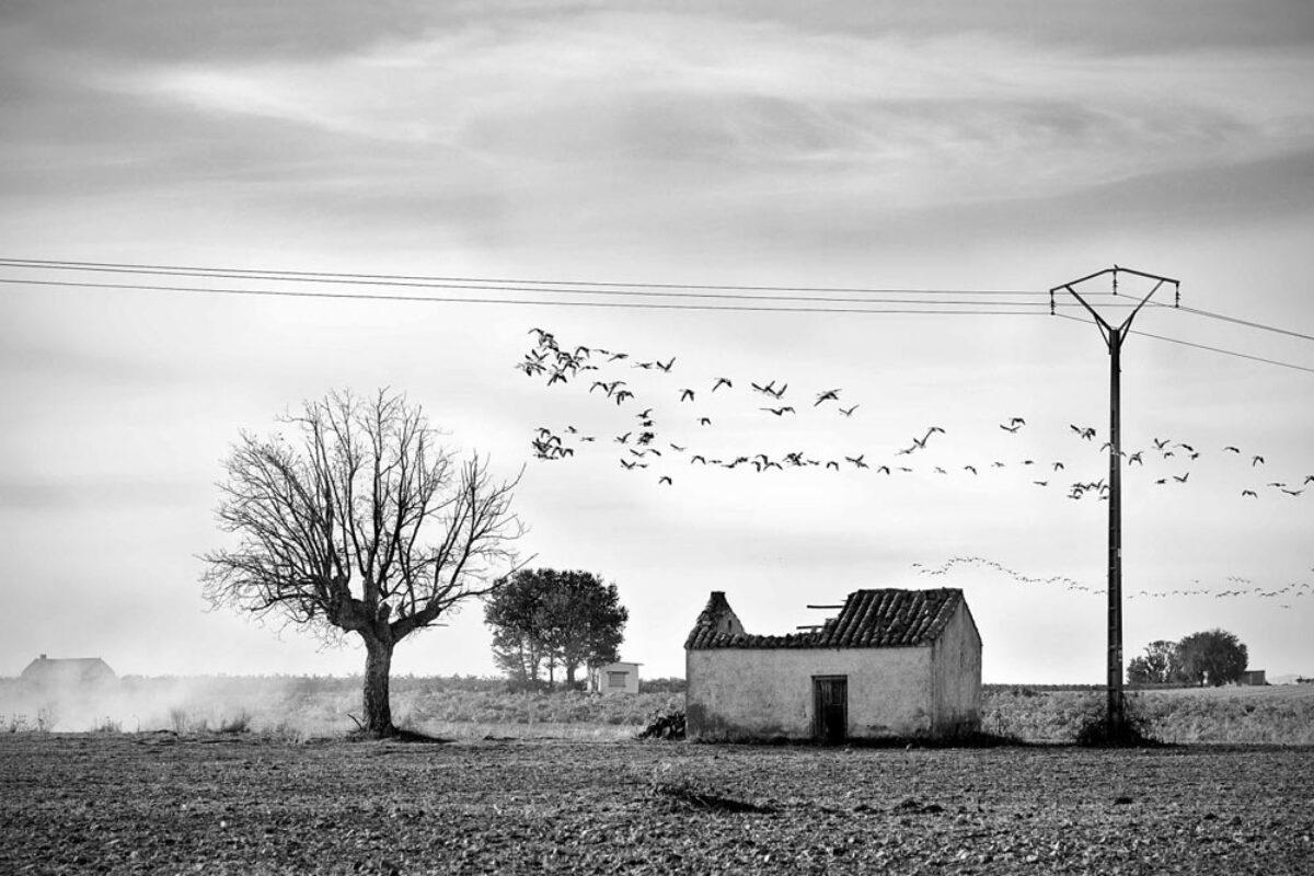 el concurso arquitectura silenciosa premia a antonio atanasio por la mejor fotografia