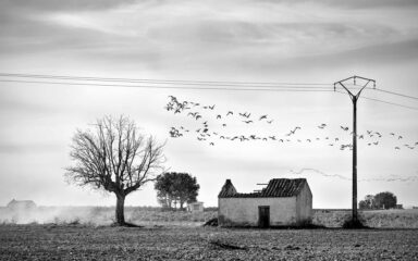 el concurso arquitectura silenciosa premia a antonio atanasio por la mejor fotografia